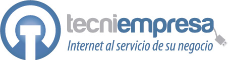 Tecniempresa: Internet al Servicio de su Negocio